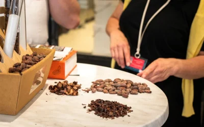 Visite-guidee-Chocolat-gourmand-8211-05-09-2025-8211-Bayonne_2979955