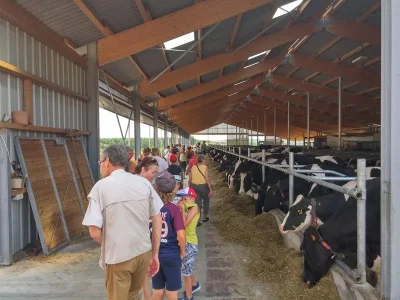 Visite-guidee-de-la-Ferme-Christ-de-la-pature-au-fromage-8211-Willgottheim_2746276