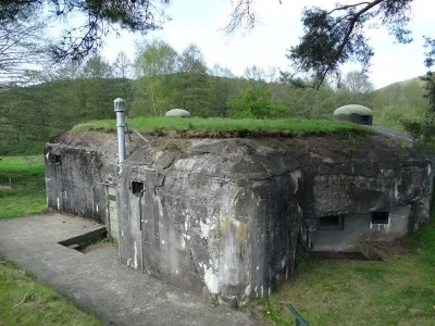 Visite-guidee-de-la-casemate-8211-Dambach_2746312