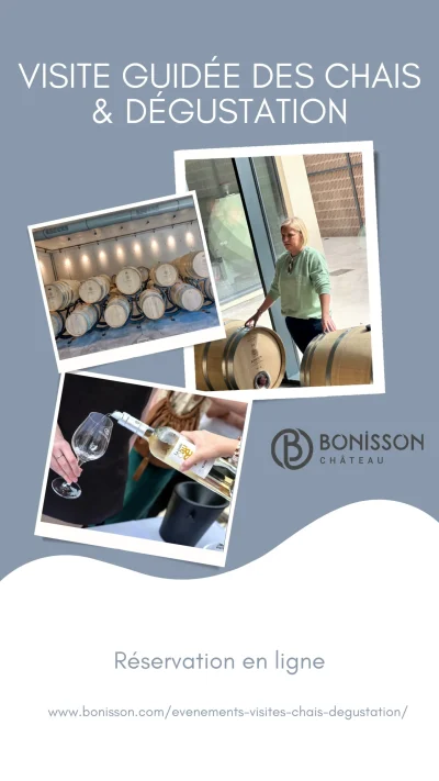 Visite-guidee-des-chais-et-degustation-commentee-au-Chateau-Bonisson-8211-Rognes_2686041