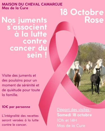 Visite-guidee-des-juments-et-des-poulains-au-Mas-de-la-Cure-8211-18-10-2025-8211-Saintes-Maries-de-la-Mer_3119189