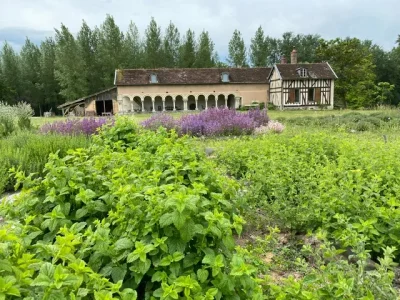 Visite-guidee-des-vestiges-de-l039Ancienne-Abbaye-de-Basse-Fontaine-8211-13-09-2025-8211-Brienne-la-Vieille_3020620