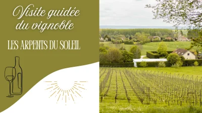 Visite-guidee-du-Vignoble-Les-Arpents-du-Soleil-8211-09-07-2025-8211-Vendeuvre_2745270