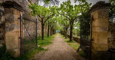 Visite-guidee-du-chateau-de-Fumel-8211-17-12-2025-8211-Fumel_2980374