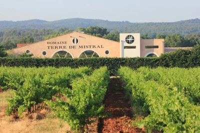 Visite-guidee-du-vignoble-Terre-de-Mistral-suivie-d039une-degustation-8211-Rousset_2350564