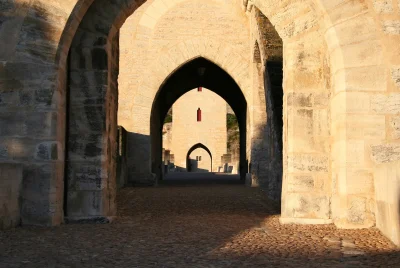 Visite-guidee-la-nature-en-ville-une-histoire-de-cohabitation-8211-Cahors_3687015