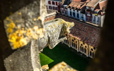 Visite-guidee-la-tour-sud-de-la-cathedrale-8211-13-12-2025-8211-Bayonne_3143367