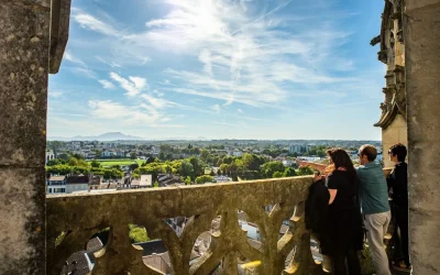 Visite-guidee-la-tour-sud-de-la-cathedrale-8211-17-01-2026-8211-Bayonne_3168861