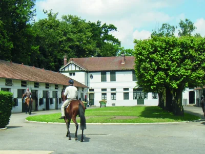 Visite-guidee-quotLes-ecuries-de-courses-et-les-secrets-de-l039entrainement-hippique-a-Chantillyquot-8211-Chantilly_3118160