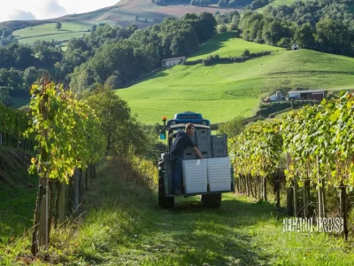 Visite-guidee-sur-sentier-pedagique-au-domaine-Gutizia_1133783