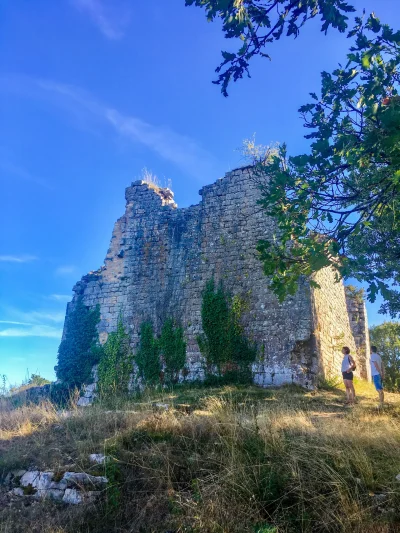 Visite-nature-8211-LPO-et-chateau-de-Taillefer-avec-le-Pays-d039art-et-d039histoire-8211-06-08-2025-8211-Gintrac_2761724