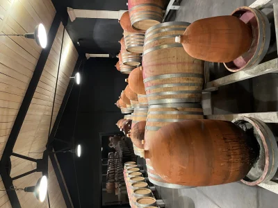 Visite-oenologique-en-Medoc-par-Wine-Hote-8211-Le-Pian-Medoc_3521641