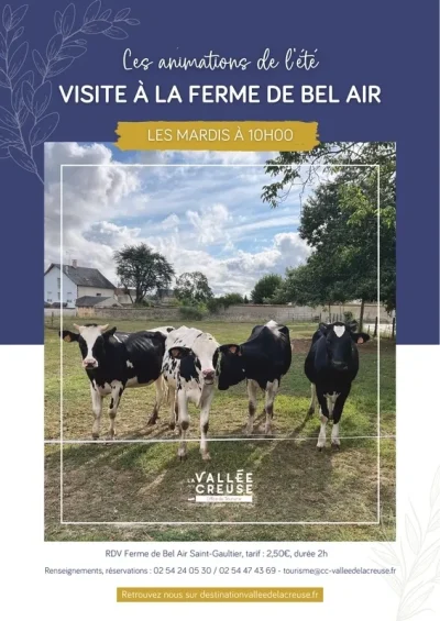 Visite-quotAllons-voir-les-vaches-quot-8211-26-08-2025-8211-Saint-Gaultier_2716657