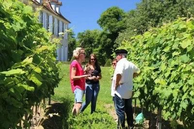 Visite-quotCrouseilles-Signaturequot-au-Chateau-de-Crouseilles-8211-06-07-2025-8211-Crouseilles_2679561