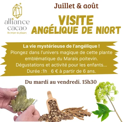 Visite-quotLa-vie-mysterieuse-de-l039Angeliquequot-par-Alliance-cacao-a-Bessines-8211-01-07-2025-8211-Bessines_2951083