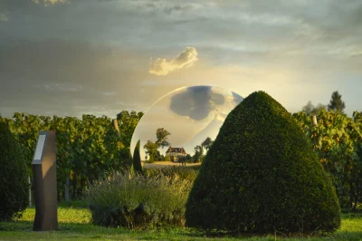 Visite-quotTerre-de-vins-et-d039Artquot-au-Chateau-de-Crouseilles-8211-30-08-2025-8211-Crouseilles_2980838