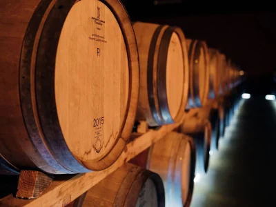 Visite-quotTerroirs-du-Madiranquot-au-Chateau-de-Crouseilles-8211-23-07-2025-8211-Crouseilles_2613706