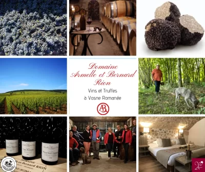 Visites-au-Domaine-Armelle-et-Bernard-Rion_745501