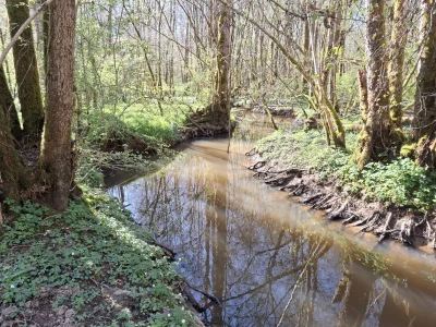 Visites-de-terrain-renaturation-des-milieux-aquatiques-8211-Saint-Phal_3193416