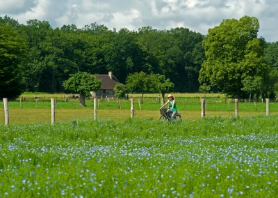 Voie-verte-8211-de-Livarot-a-Mezidon-8211-Livarot-Pays-d039Auge_1582913