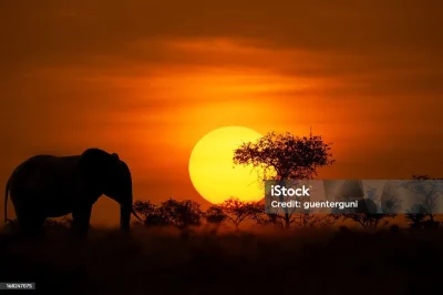 Voyage-Voyage-8211-Escale-en-Afrique-a-la-Micro-Folie-8211-02-09-2025-8211-Montardon_2901962
