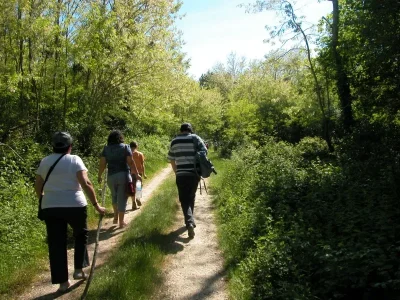 Voyage-dans-le-passe-8211-24-05-2025-8211-Saucats_2907035