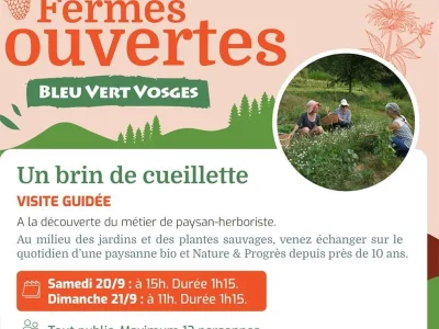 Week-end-Fermes-ouvertes-Bleu-Vert-Vosges-8211-A-la-decouverte-du-metier-de-paysan-herboriste-8211-Faucompierre_3065046