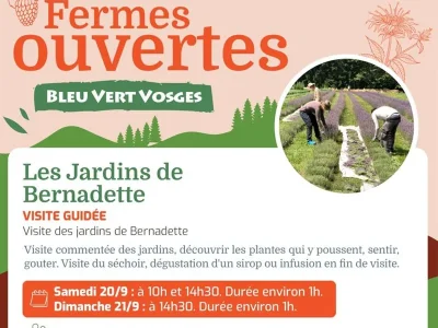 Week-end-Fermes-ouvertes-Bleu-Vert-Vosges-8211-Visitez-Les-Jardins-de-Bernadette-8211-Sapois_3066625