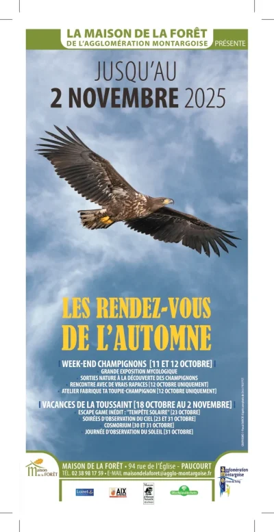 Week-end-champignons-8211-11-10-2025-8211-Paucourt_3132681