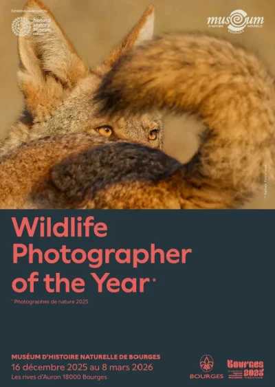 Wildlife-Photographer-of-The-Year-8211-05-01-2026-8211-Bourges_3465161