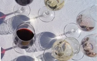 Wine-N-Woods-les-aperos-du-Theulet-Chateau-Theulet-8211-07-08-2025-8211-Monbazillac_2770242