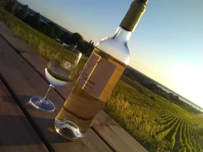 Wine-amp-Sunset-au-Chateau-Saincrit-8211-01-05-2025-8211-Saint-Andre-de-Cubzac_2534126