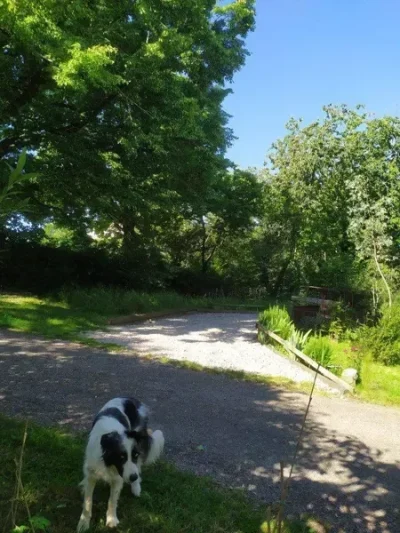 aire-de-camping-car-a-La-ferme-les-Mamours-8211-Le-Bas-Segala_3431854