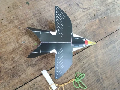 atelier-avion-japonais-en-forme-de-rapaces-8211-Paucourt_3759340