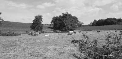 balade-du-moulin-du-Liort-8211-La-Salvetat-Peyrales_2229426