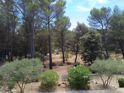 crin-de-nature-sous-les-pins-8211-Aurons_2642472