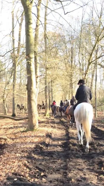curie-Cheval-Passion-8211-Pont-Sainte-Maxence_2842409