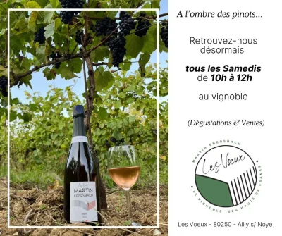 degustation-et-vente-de-vin-local-au-Vignoble-des-Voeux-8211-Ailly-sur-Noye_1881728