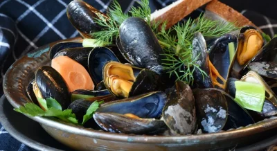 frites-8211-08-11-2025-8211-Presnoy_2585214