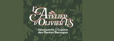 l039Atelier-d039Olivier-TS-8211-Decouverte-plantes-sauvages-8211-Fontvieille_1979425