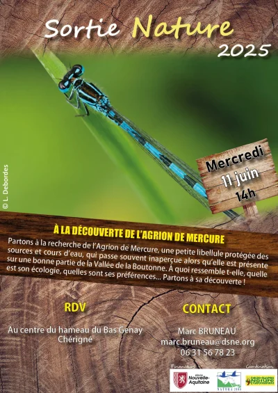 la-decouverte-de-l039Agrion-de-Mercure-8211-11-06-2025-8211-Cherigne_2471442