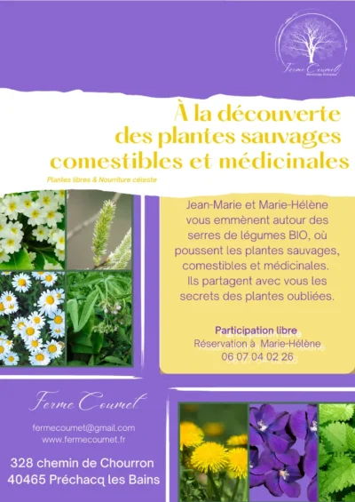 la-decouverte-des-plantes-sauvages-comestibles-et-medicinales-8211-13-09-2025-8211-Prechacq-les-Bains_2843844