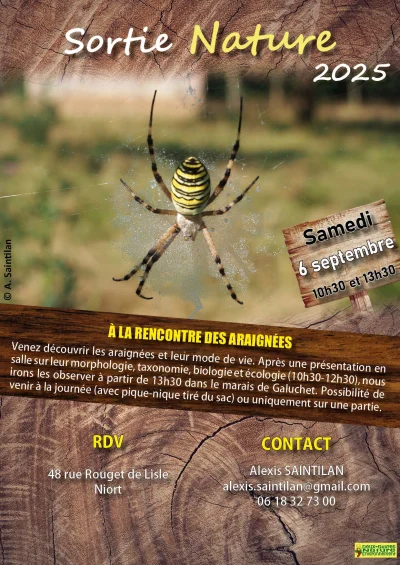 la-rencontre-des-araignees-8211-06-09-2025-8211-Niort_2975664