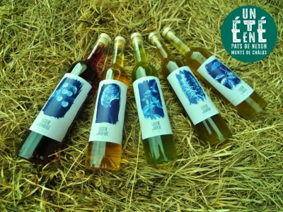la-rencontre-des-producteurs-8211-La-Distillerie-Dandelion-8211-23-07-2026-8211-Dournazac_3592229