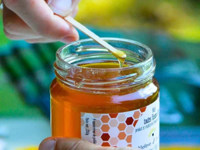 la-rencontre-des-producteurs-La-Miellerie-Dandelion-8211-31-07-2025-8211-Dournazac_2671778