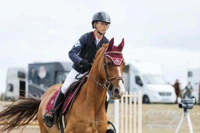 ou-poney-8211-Noues-de-Sienne_3203847