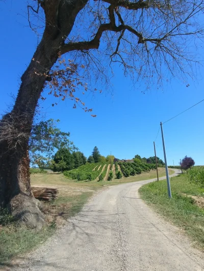 quotChai-ouvertquot-au-Domaine-de-Marquestau-8211-27-09-2025-8211-Hontanx_3045132