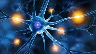 quotMaladie-d039Alzheimer-et-si-le-cerveau-pouvait-se-defendrequot-8211-19-03-2026-8211-Allauch_3178441