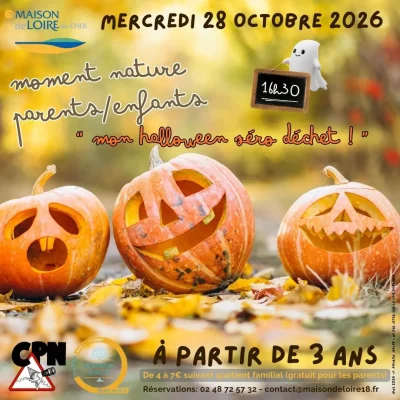 quotMon-halloween-Zero-Dechetsquot-8211-Belleville-sur-Loire_3626501