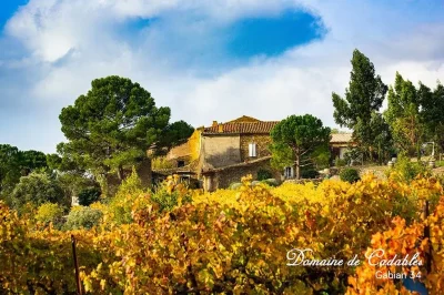 quotPIQUE-NIQUE-CHEZ-LES-VIGNERONS-INDEPENDANTSquot-8211-08-06-2025-8211-Gabian_2366956